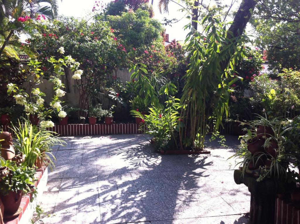 Casa Tukari Colonial House Hotel Puerto Vallarta Bagian luar foto